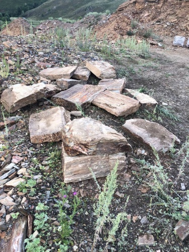 Плитняк кора дерева 50-100мм для пошаговых дорожек купить в Дедовске